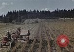 Image of Experimental crops and Victory Gardens World War 2 United States USA, 1942, second 13 stock footage video 65675045651