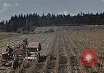 Image of Experimental crops and Victory Gardens World War 2 United States USA, 1942, second 14 stock footage video 65675045651