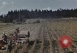Image of Experimental crops and Victory Gardens World War 2 United States USA, 1942, second 15 stock footage video 65675045651
