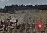 Image of Experimental crops and Victory Gardens World War 2 United States USA, 1942, second 16 stock footage video 65675045651