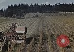 Image of Experimental crops and Victory Gardens World War 2 United States USA, 1942, second 17 stock footage video 65675045651