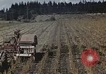 Image of Experimental crops and Victory Gardens World War 2 United States USA, 1942, second 18 stock footage video 65675045651