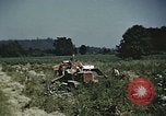 Image of Experimental crops and Victory Gardens World War 2 United States USA, 1942, second 19 stock footage video 65675045651