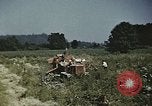 Image of Experimental crops and Victory Gardens World War 2 United States USA, 1942, second 21 stock footage video 65675045651