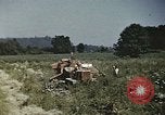 Image of Experimental crops and Victory Gardens World War 2 United States USA, 1942, second 22 stock footage video 65675045651