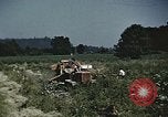 Image of Experimental crops and Victory Gardens World War 2 United States USA, 1942, second 28 stock footage video 65675045651