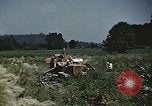 Image of Experimental crops and Victory Gardens World War 2 United States USA, 1942, second 29 stock footage video 65675045651