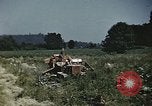 Image of Experimental crops and Victory Gardens World War 2 United States USA, 1942, second 30 stock footage video 65675045651