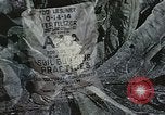 Image of Experimental crops and Victory Gardens World War 2 United States USA, 1942, second 41 stock footage video 65675045651
