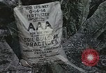 Image of Experimental crops and Victory Gardens World War 2 United States USA, 1942, second 42 stock footage video 65675045651