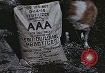 Image of Experimental crops and Victory Gardens World War 2 United States USA, 1942, second 51 stock footage video 65675045651
