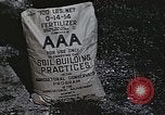 Image of Experimental crops and Victory Gardens World War 2 United States USA, 1942, second 54 stock footage video 65675045651