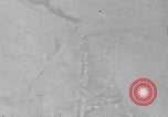 Image of U.S. P-47 strafes roads and fields World War 2 European Theater, 1945, second 7 stock footage video 65675045652