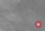 Image of U.S. P-47 strafes roads and fields World War 2 European Theater, 1945, second 32 stock footage video 65675045652