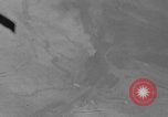 Image of U.S. P-47 strafes roads and fields World War 2 European Theater, 1945, second 35 stock footage video 65675045652