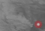 Image of U.S. P-47 strafes roads and fields World War 2 European Theater, 1945, second 40 stock footage video 65675045652