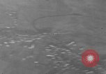 Image of U.S. P-47 strafes roads and fields World War 2 European Theater, 1945, second 52 stock footage video 65675045652