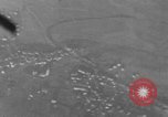Image of U.S. P-47 strafes roads and fields World War 2 European Theater, 1945, second 55 stock footage video 65675045652