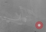 Image of P-47 gun camera footage World War 2 strafing European Theater, 1945, second 40 stock footage video 65675045655