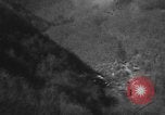 Image of USAAF gun camera footage World War 2 European Theater, 1945, second 11 stock footage video 65675045661