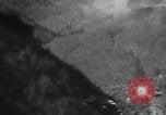 Image of USAAF gun camera footage World War 2 European Theater, 1945, second 13 stock footage video 65675045661