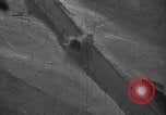 Image of gun camera footage P-47 snowy terrain European Theater, 1945, second 21 stock footage video 65675045662