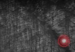 Image of U.S. P-47 strafing power supply World War 2 European Theater, 1945, second 16 stock footage video 65675045663