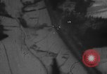 Standbild strafing europäische Theater, 1944, aus Sekunde 9 historischem Filmmaterial Videoclip 65675045670