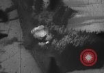 Standbild strafing europäische Theater, 1944, aus Sekunde 11 historischem Filmmaterial Videoclip 65675045670