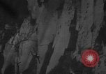 Standbild Luft-zu-Luft angriff europäische Theater, 1944, aus Sekunde 6 historischem Filmmaterial Videoclip 65675045678