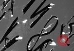 Standbild Luft-zu-Luft angriff europäische Theater, 1945, aus Sekunde 49 historischem Filmmaterial Videoclip 65675045680