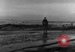 Image P-47 Aéronefs à l'aérodrome de Chievres Chievres Belgique, 1944, de la seconde 13 séquences d'archives historiques vidéo 65675045684
