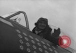 Image of Major Gabreski European Theater, 1944, second 17 stock footage video 65675045691