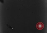 Image of Junkers 52 hit by Lt. Eden European Theater, 1944, second 19 stock footage video 65675045702