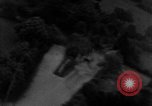 Image of strafing European Theater, 1944, second 18 stock footage video 65675045714