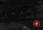 Image of strafing European Theater, 1944, second 41 stock footage video 65675045715