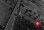 Image of strafing European Theater, 1944, second 19 stock footage video 65675045722