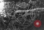 Immagine di Douaumont Fort Verdun Francia, 1916, secondo 25 filmato di repertorio 65675045734