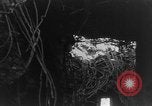 Immagine di Douaumont Fort Verdun Francia, 1916, secondo 35 filmato di repertorio 65675045734