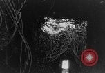 Immagine di Douaumont Fort Verdun Francia, 1916, secondo 36 filmato di repertorio 65675045734