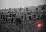 Image of American 78th Division in World War 1 FRance, 1918, second 5 stock footage video 65675045751