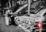 Immagine di Potenze alleate Barleux Francia, 1916, secondo 7 filmato di repertorio 65675045764
