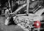 Immagine di Potenze alleate Barleux Francia, 1916, secondo 9 filmato di repertorio 65675045764