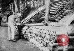 Immagine di Potenze alleate Barleux Francia, 1916, secondo 10 filmato di repertorio 65675045764