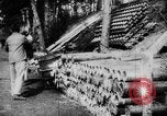 Immagine di Potenze alleate Barleux Francia, 1916, secondo 18 filmato di repertorio 65675045764