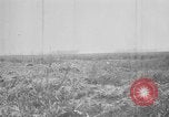 Image soldats français Barleux France, 1916, de la seconde 29 séquences d'archives historiques vidéo 65675045765