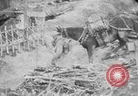 Image of French soldiers France, 1916, second 21 stock footage video 65675045768
