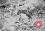 Image of French soldiers France, 1916, second 22 stock footage video 65675045768