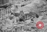 Image of French soldiers France, 1916, second 23 stock footage video 65675045768