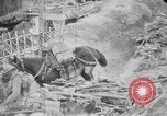 Image of French soldiers France, 1916, second 24 stock footage video 65675045768
